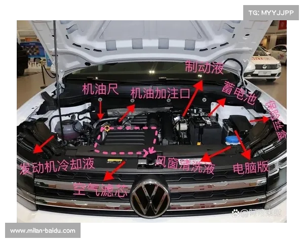《汽车油泵的神奇之处:如何吸干油箱里的最后一滴油》(汽车油泵是从油箱底部抽油吗) 《汽车油泵的神奇之处:如何吸干油箱里的最后一滴油》(汽车油泵是从油箱底部抽油吗)
